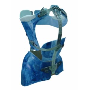 BUSTO TIPO LIONESE (realizzazione su misura)